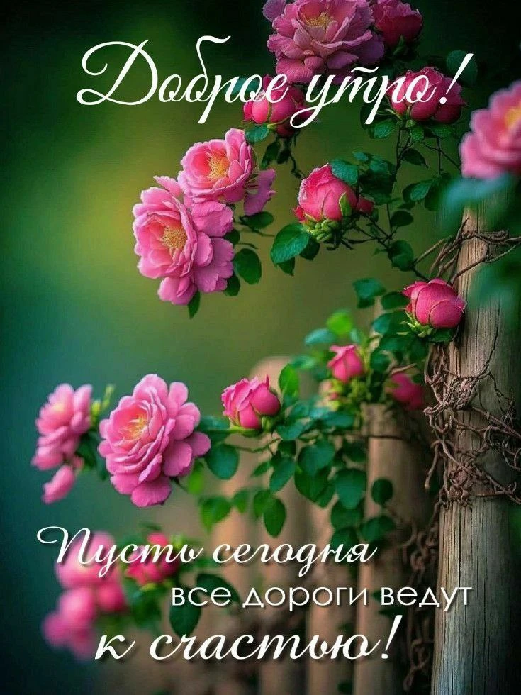 Доброе утро! 🌷

Открытки в MAX ️💌Подписаться