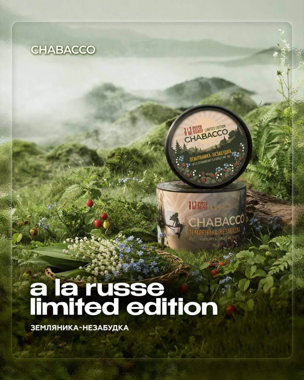 НОВЫЙ АРОМАТ CHABACCO