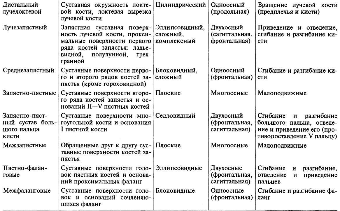 Таблица. Суставы верхней конечности