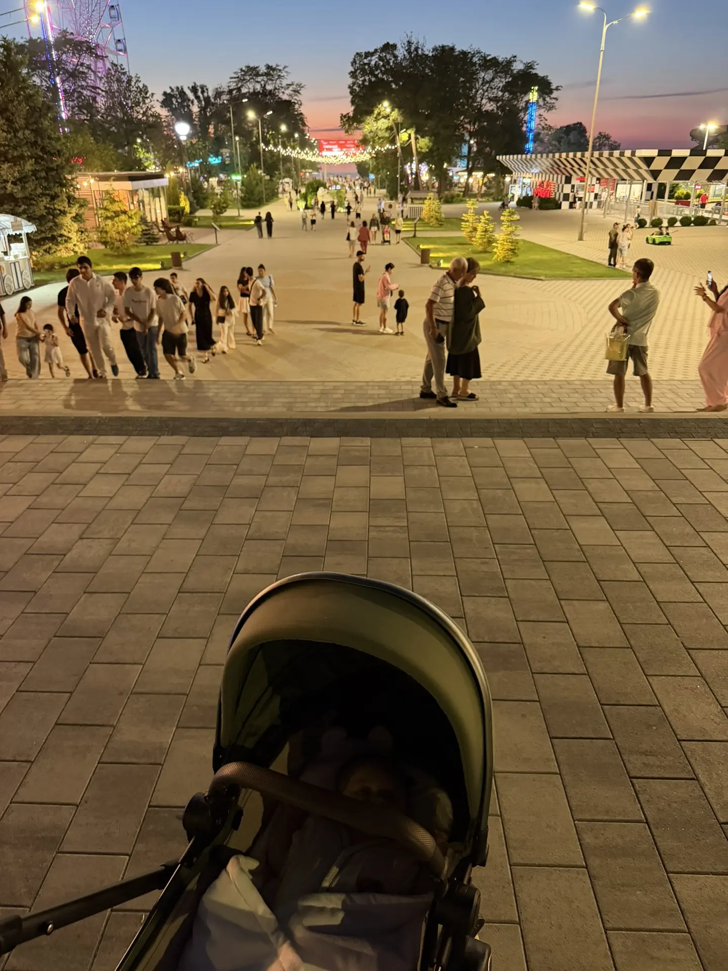 Лев желает всем приятной ночи
