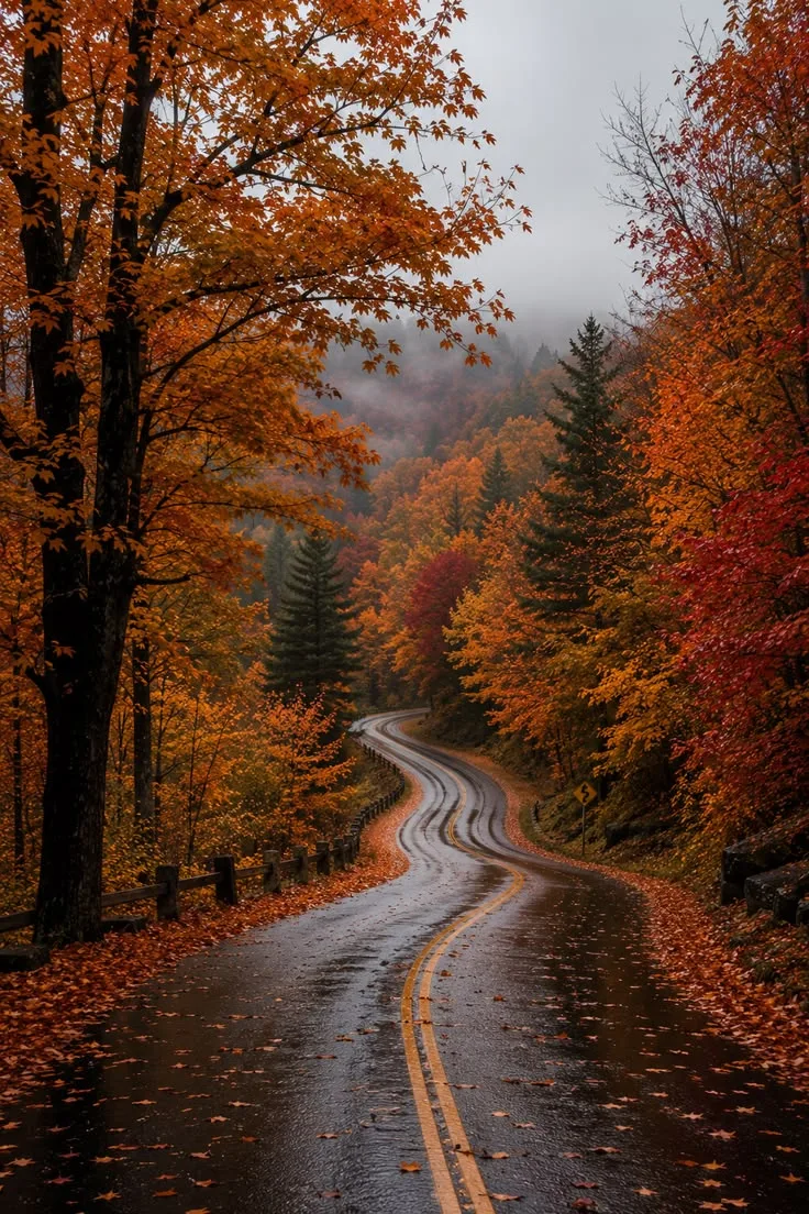 Осень... 🍁