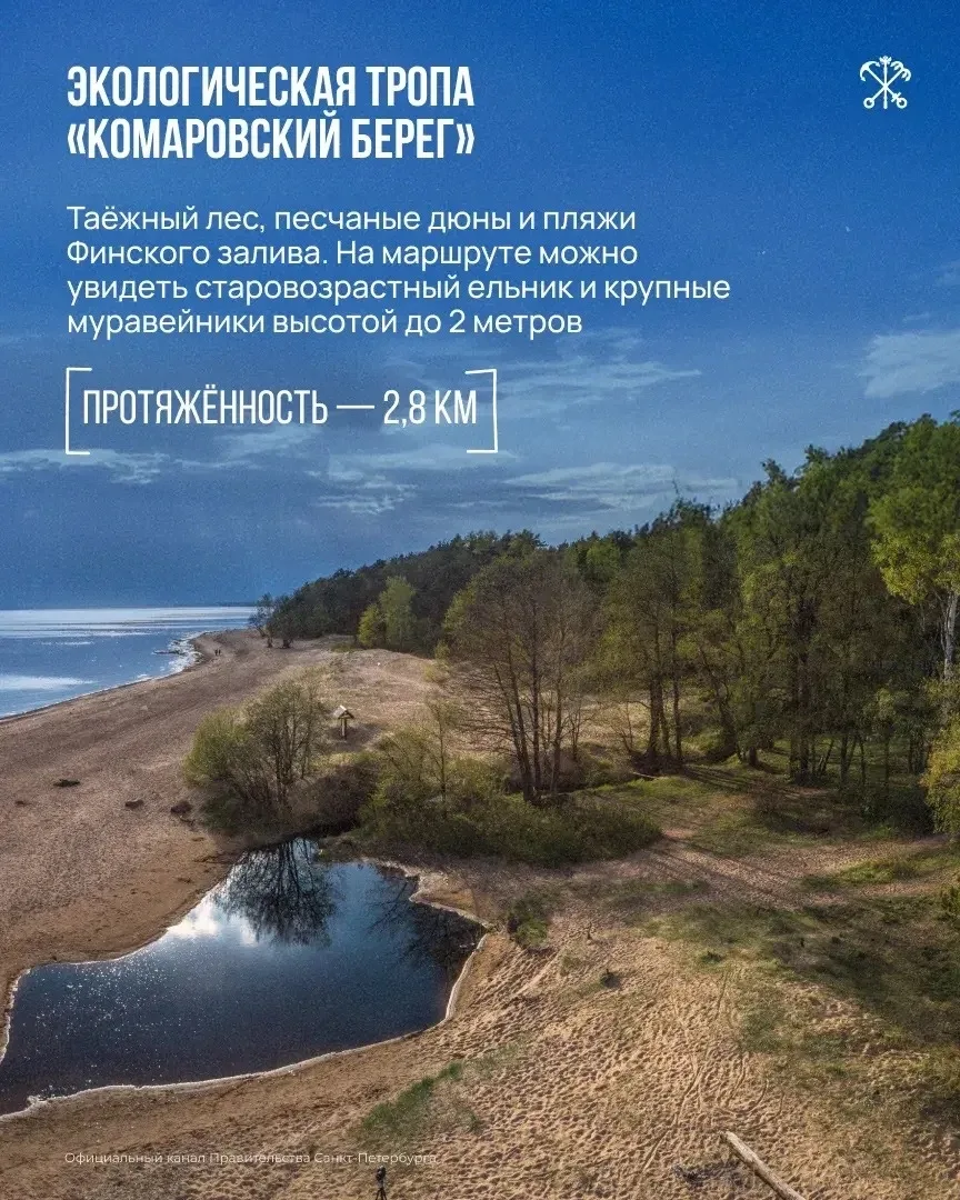 Каникулы 🌞 — время отдыха, а экотропы Петербурга 🌿🏙️ помогут увидеть природу города с новой сторо