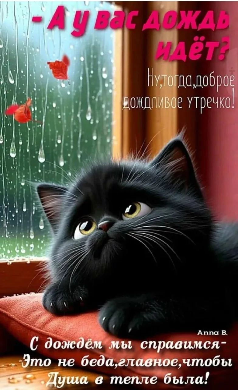 🌷 Открытки подписаться 👈