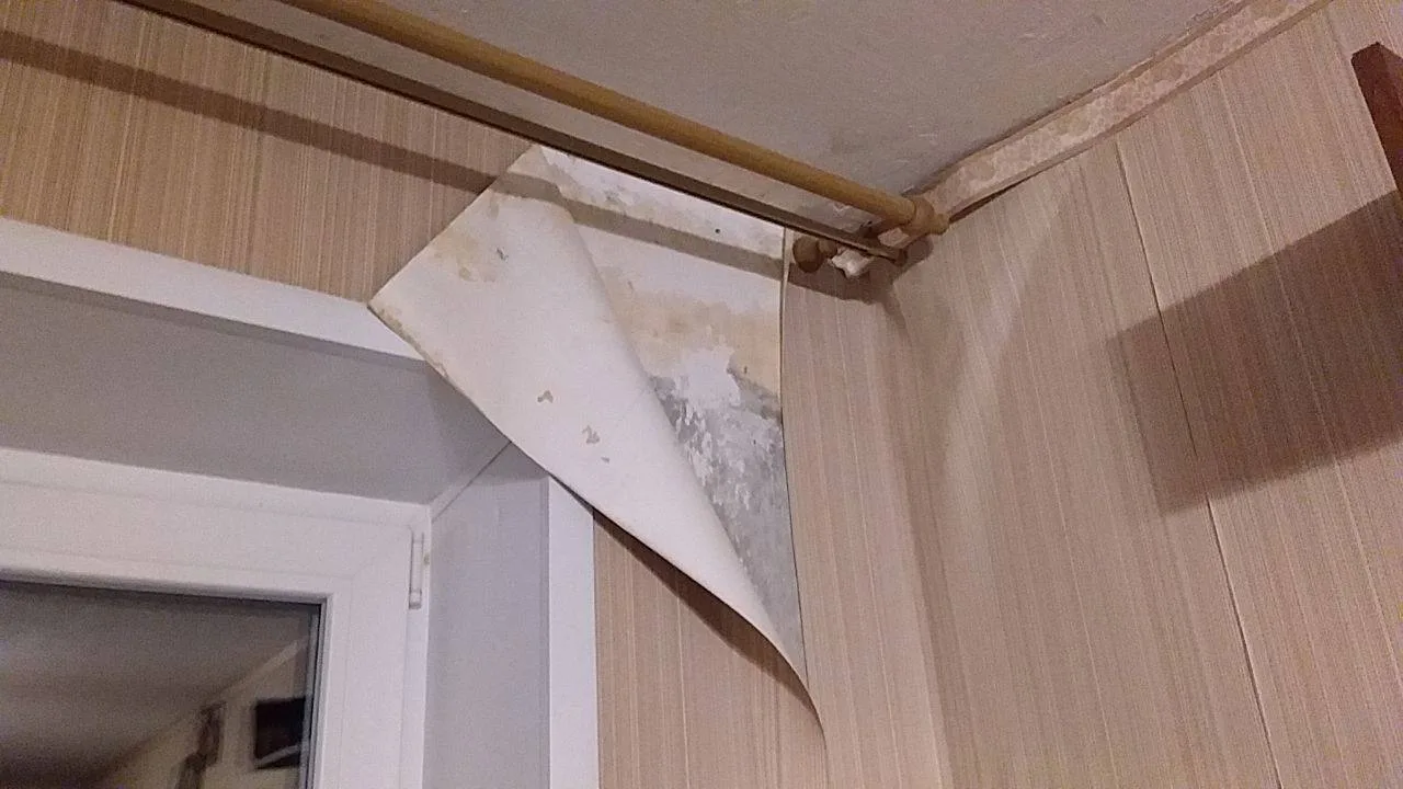 🏚️ Жители дома на улице Рубиновой в Новосибирске требуют отремонтировать аварийную крышу