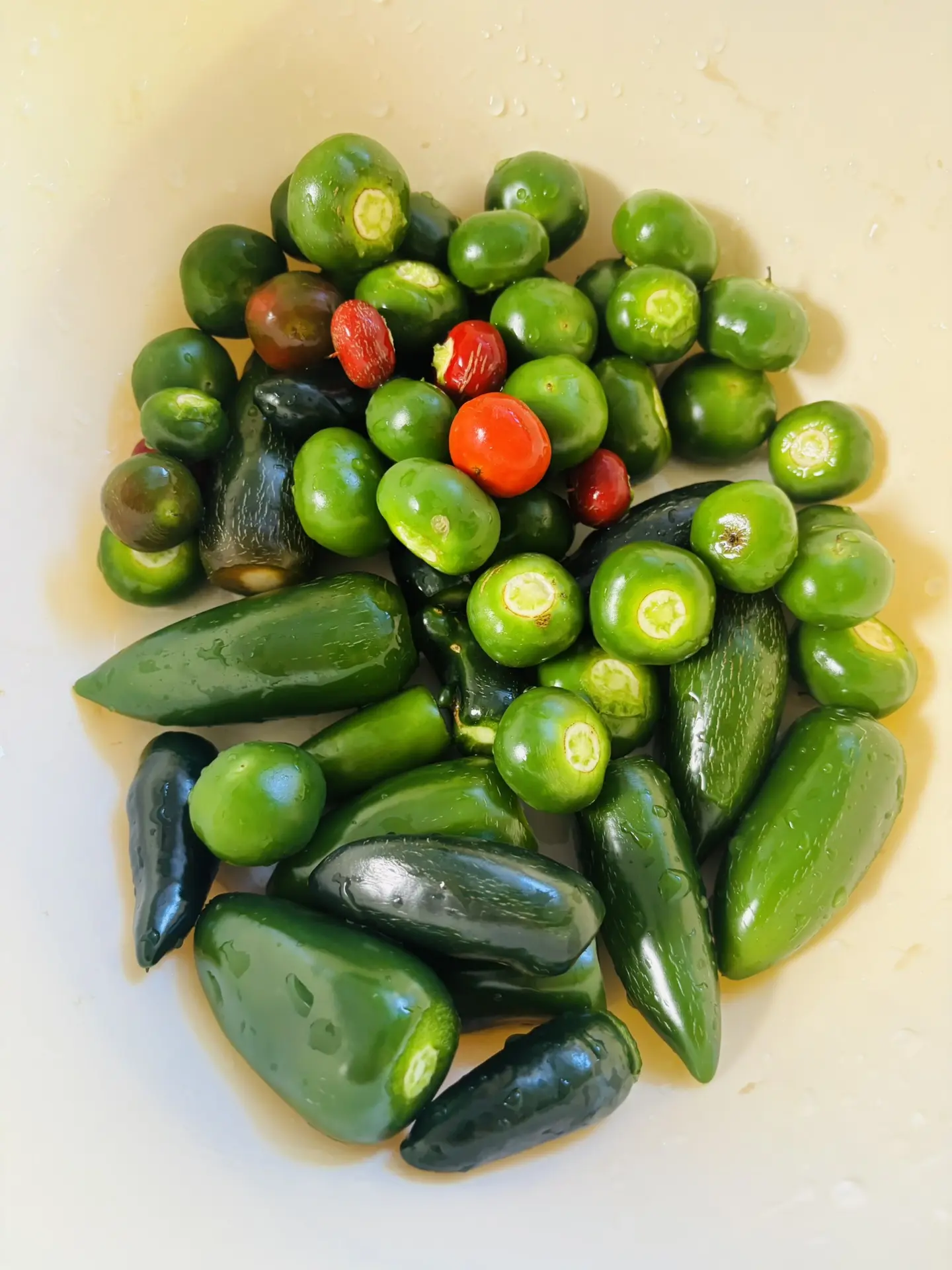 Рецепт маринованных перцев халапеньо и  пикантная вишня 🔥😋🌶️