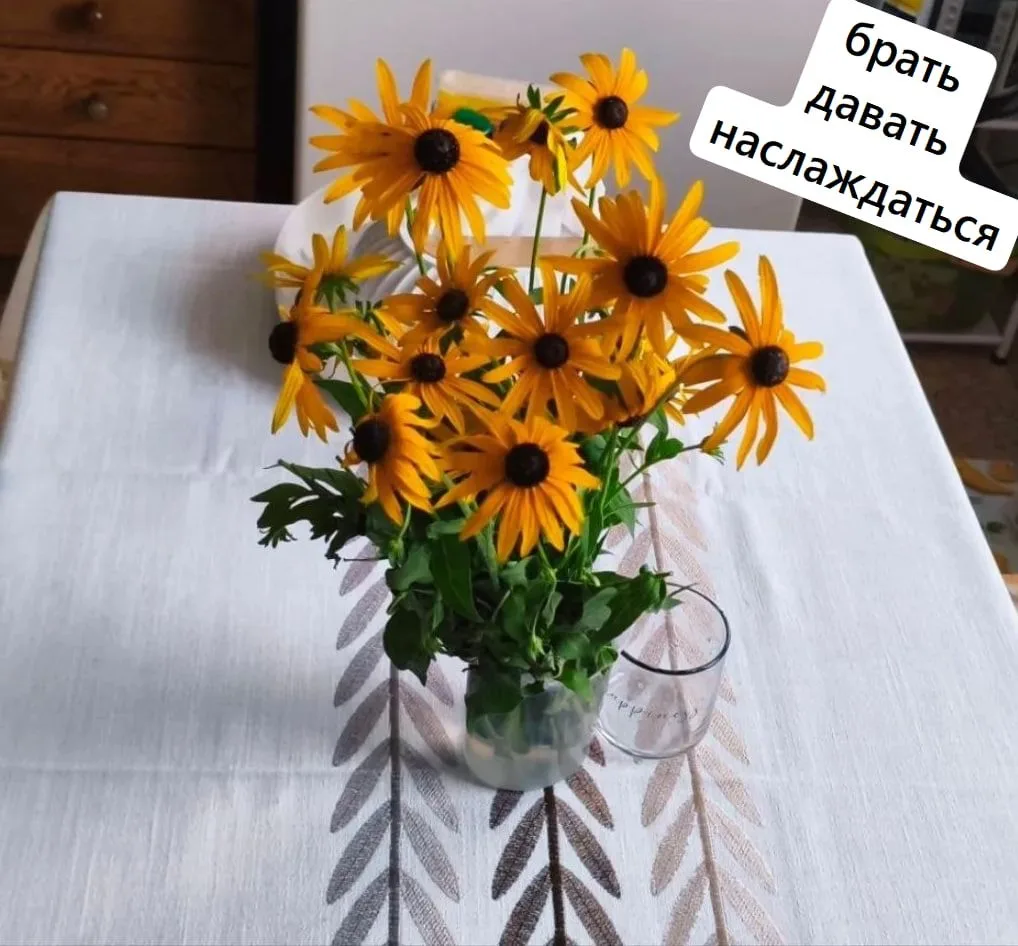 💛 Скатерть, масленка и новая книга или