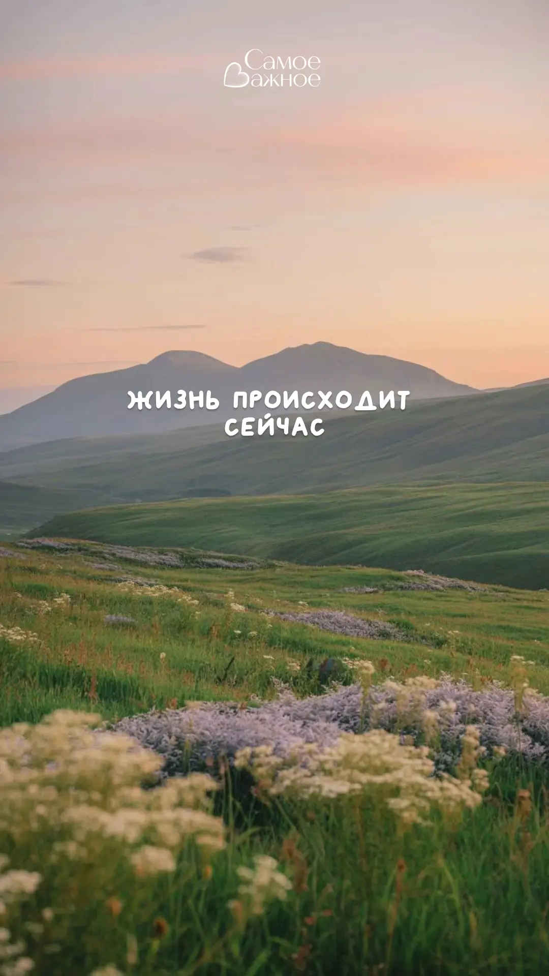 Ни вчера, ни завтра.