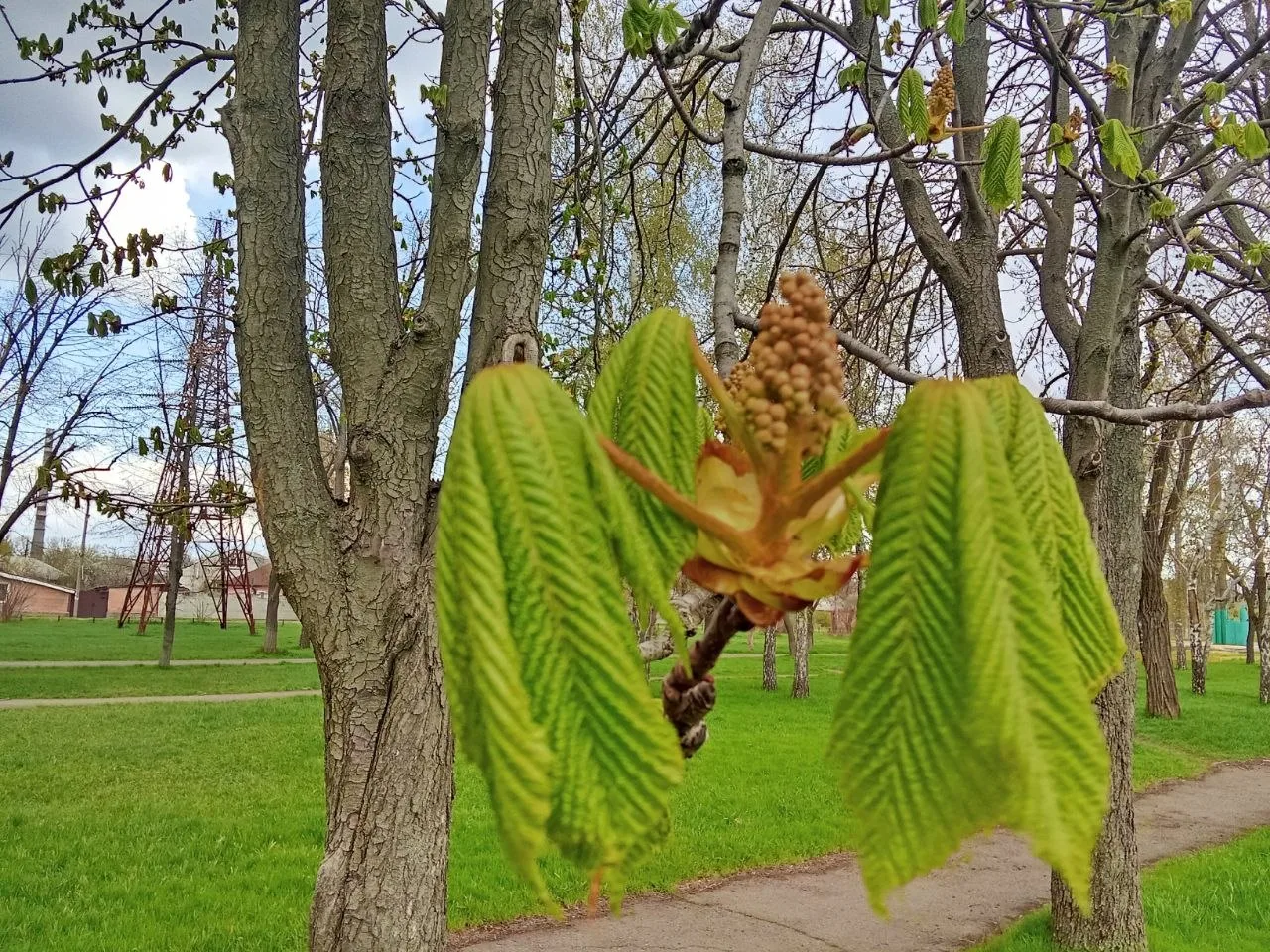 Пасха — время, когда природа оживает, расцветает яркими красками и наполняется свежей з...