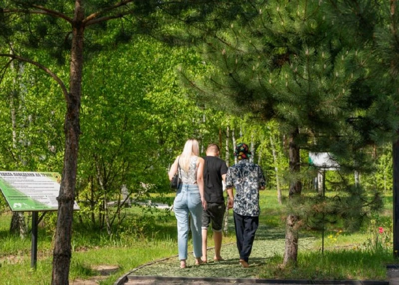 Необычная прогулка для перезагрузки  В Национальном парке «Лосиный Остров» находится необычная босон
