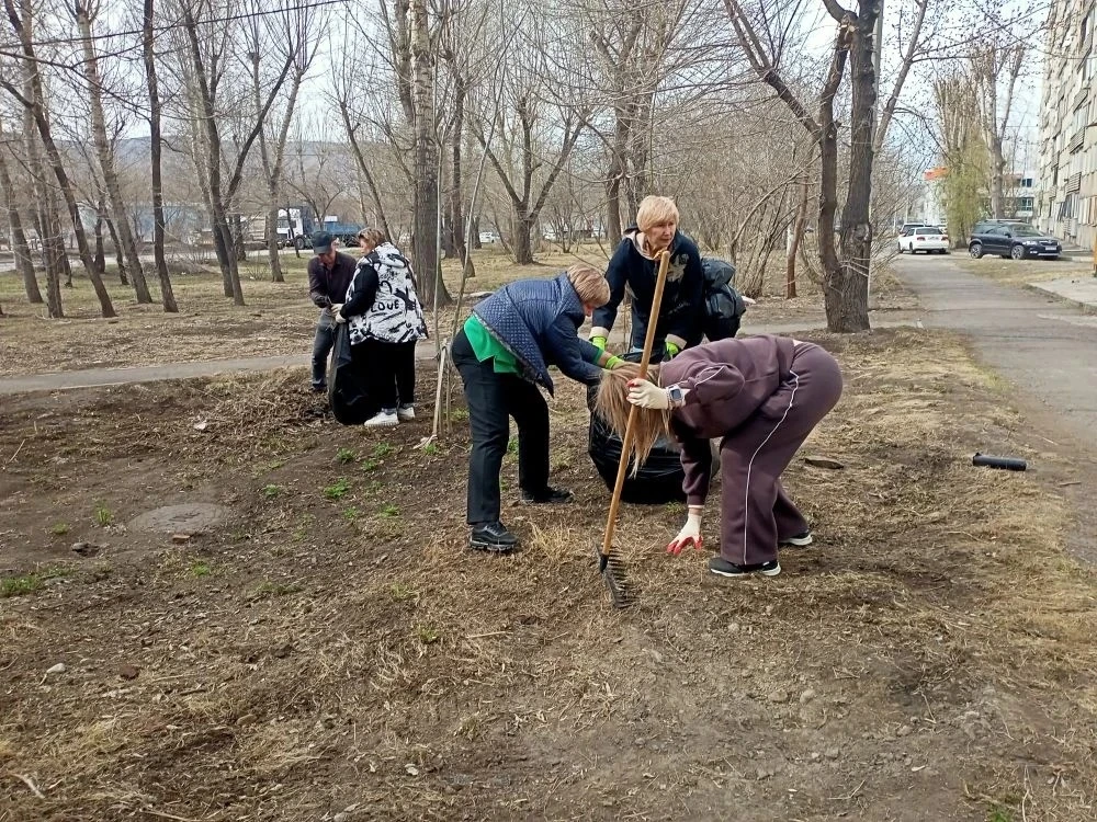 🌳 Делаем город комфортнее!