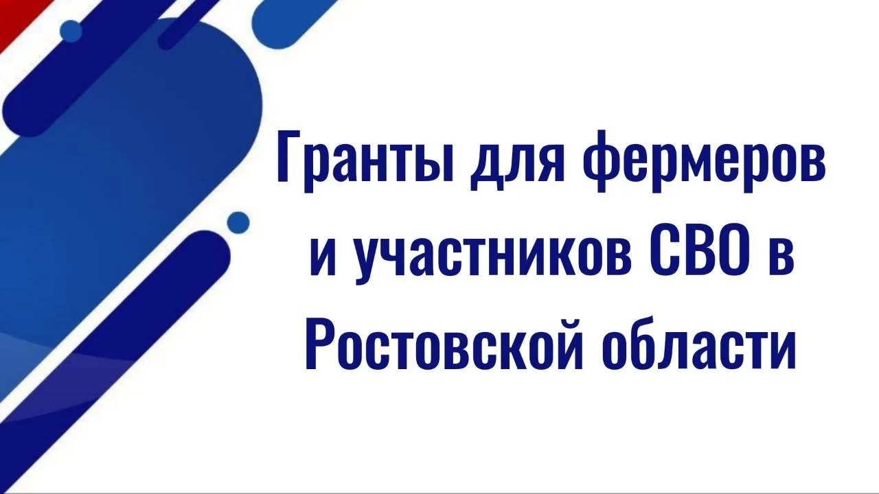 Ростовская область: гранты для фермеров и участников СВО   Постановление Правительства Ростовской об