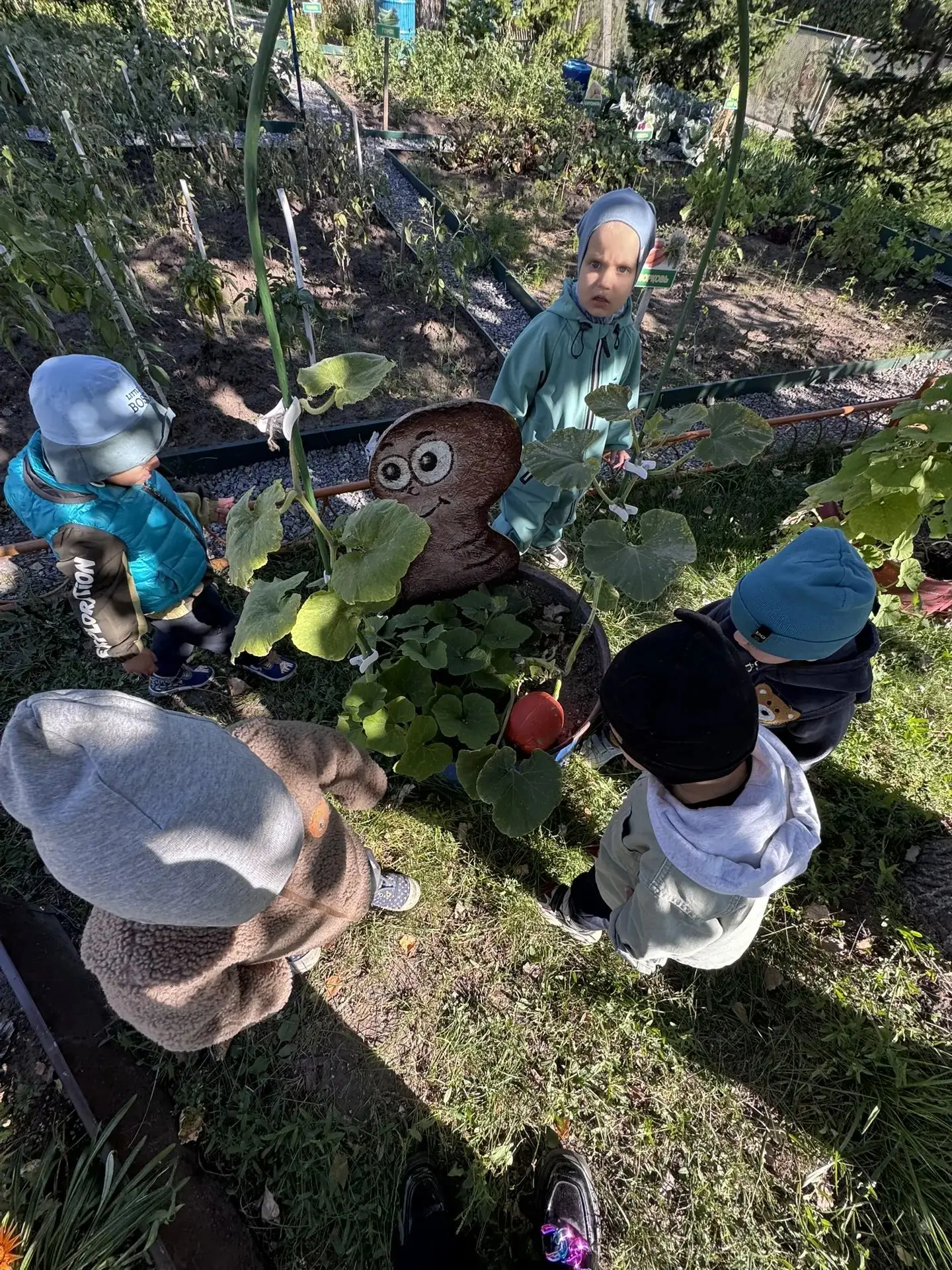 🍅🌿 Первый раз на огороде — и столько открытий! 😍