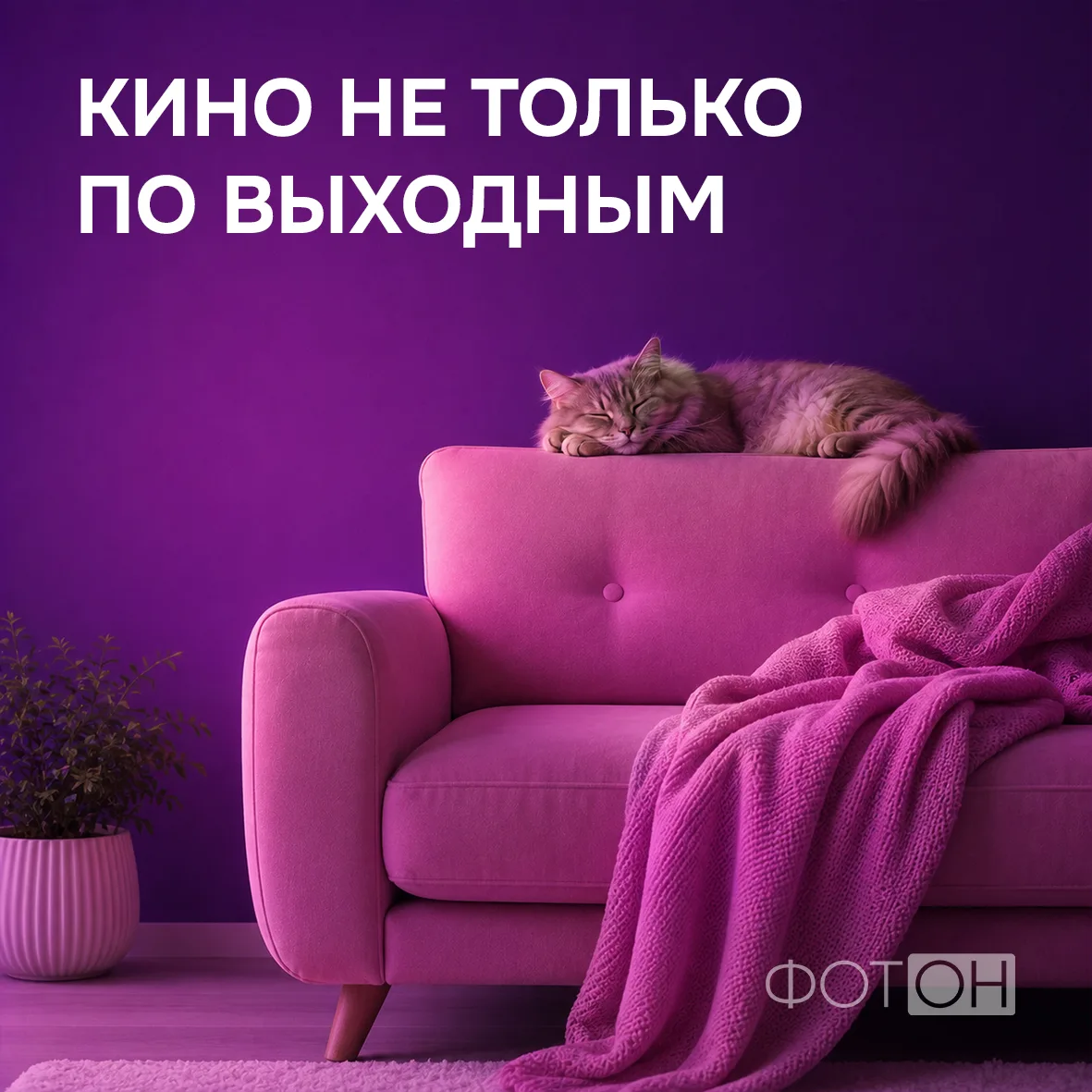 Знакомая ситуация: заходишь в онлайн-кинотеатр, полчаса листаешь подборку и в итоге вых...