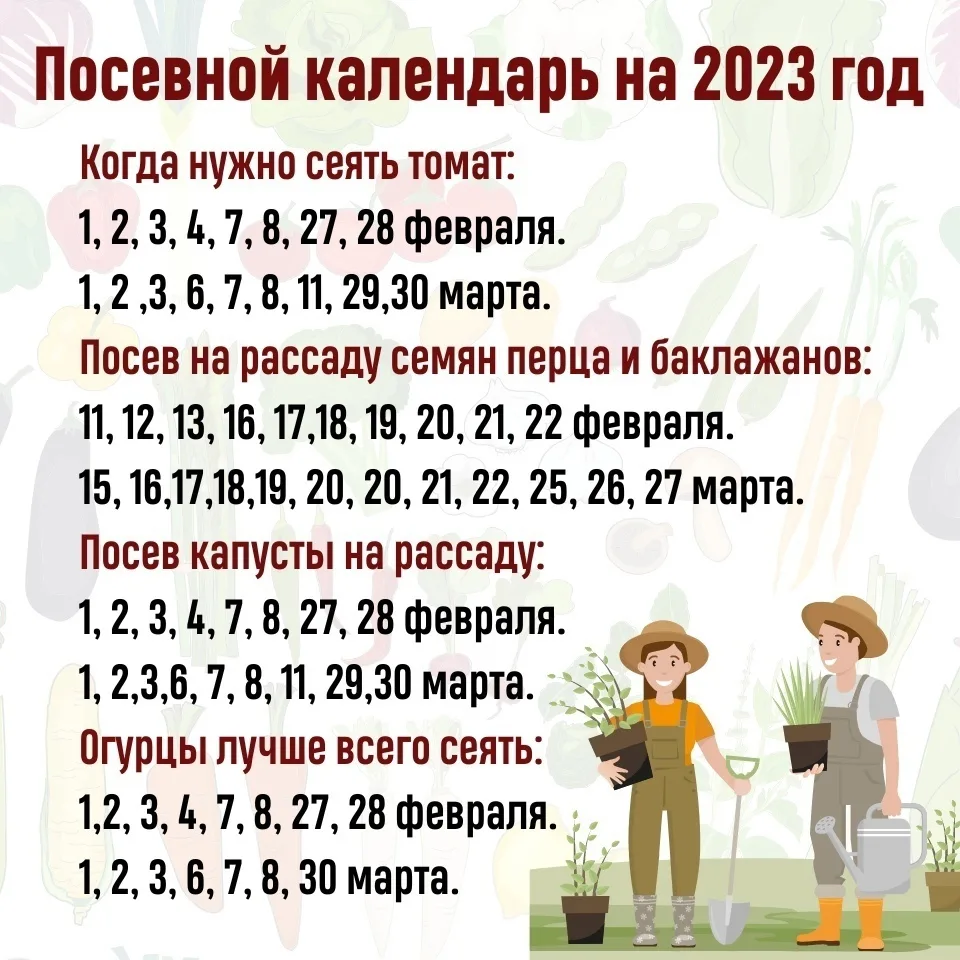 Весной эта табличка может пригодится!

НАШИ КАНАЛЫ:
Идеи для дачи
Моя любимая дача
Дачные заготовки
