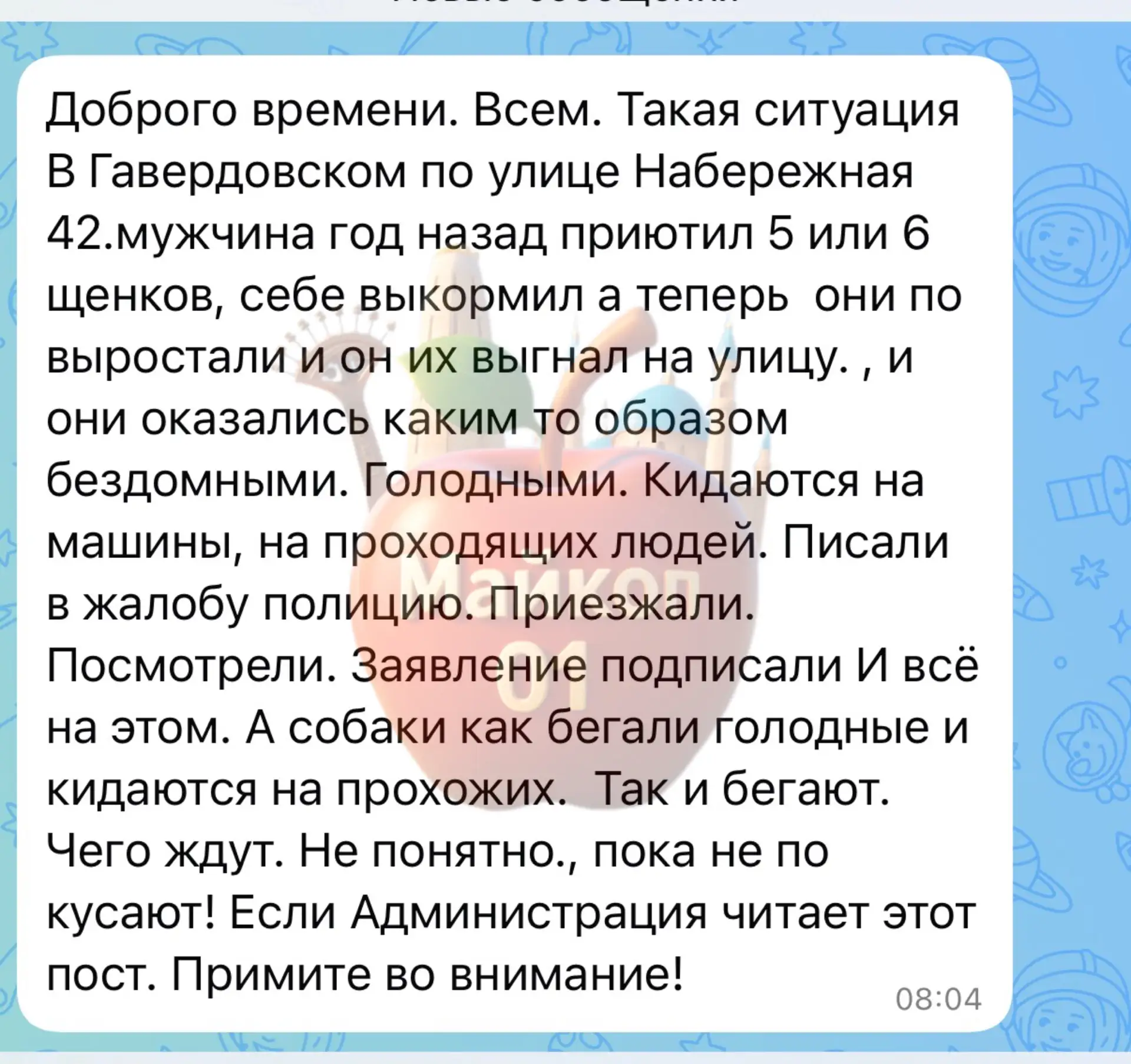 Сообщение от  подписчицы