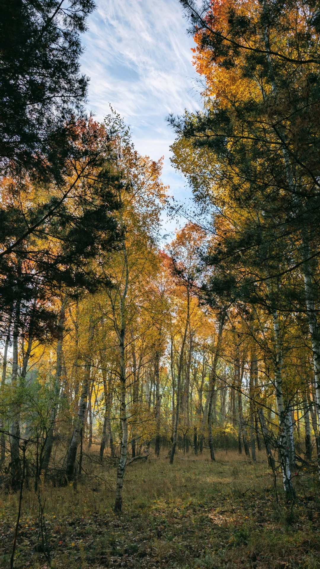 🍂 Золотая осень 📷