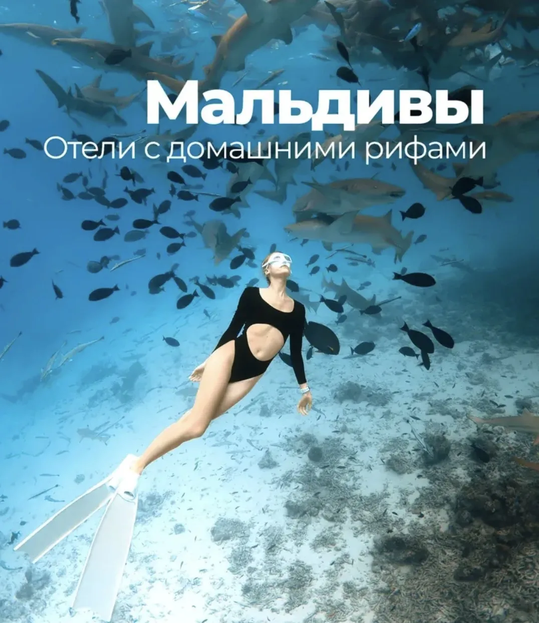 «Вау! Это все реальность?» — именно такие мысли посещают каждого, кто первый раз знаком...