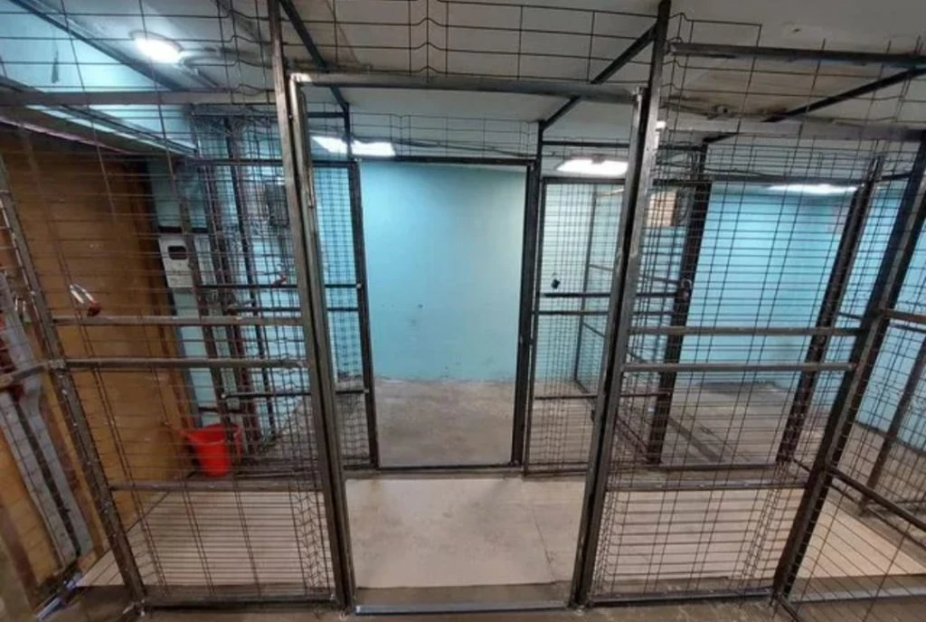 Сдам, Гараж, Краснознаменск