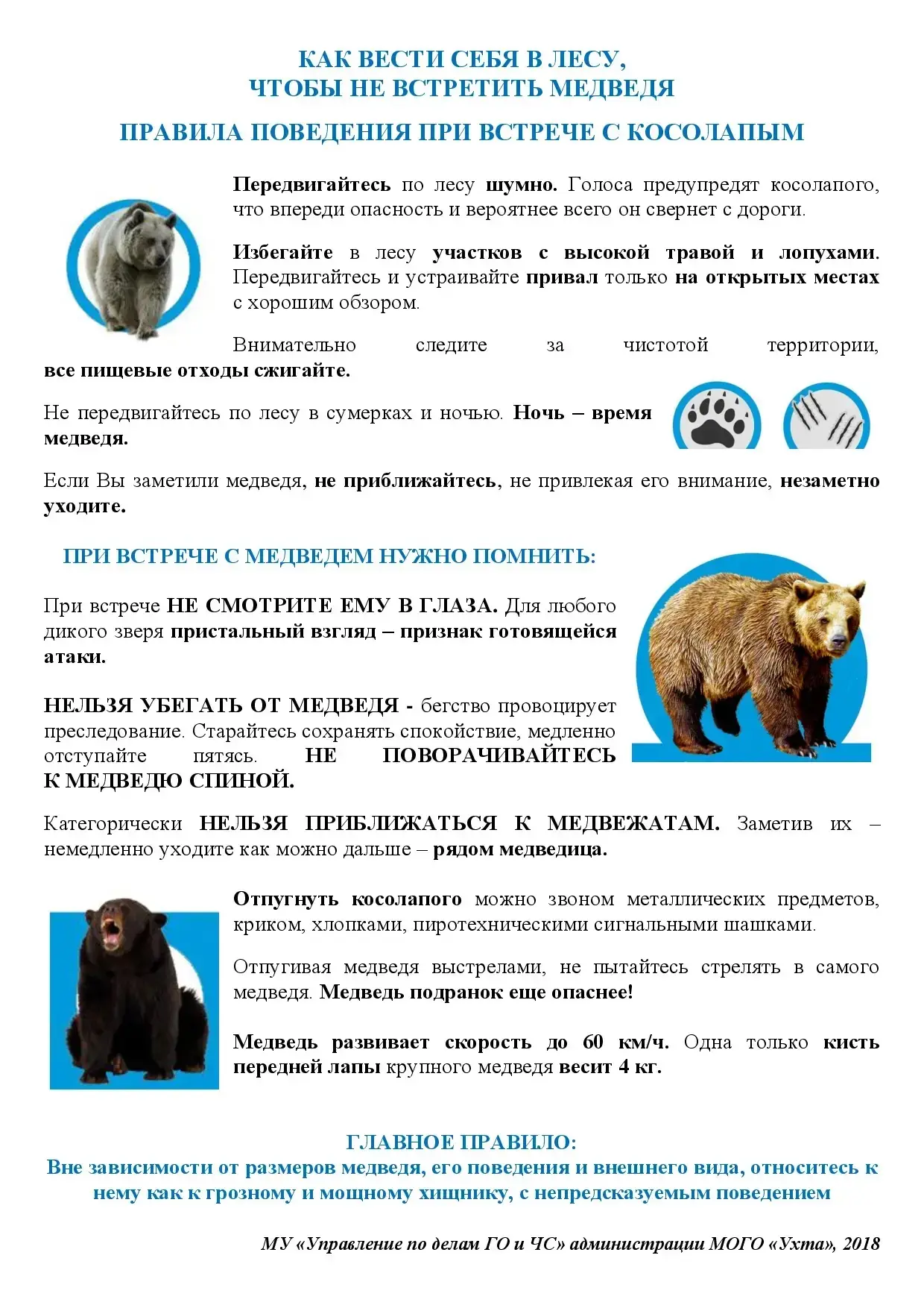 🐻 Важно! Правила безопасности при встрече с медведем