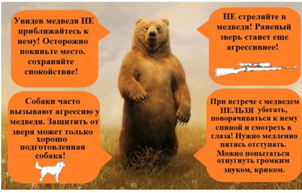 🐻Важно! Внимание жителей Плотниковского сельсовета