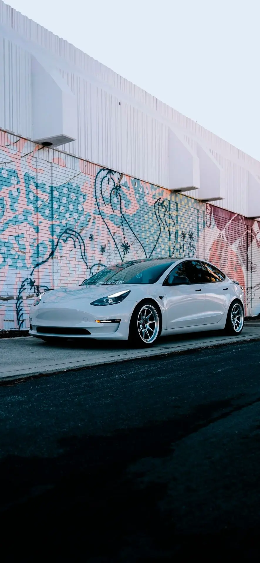 Фото
