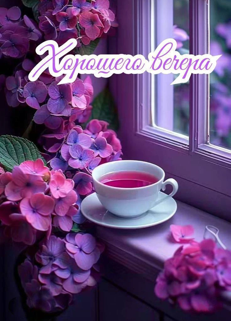 #ХорошегоВечера