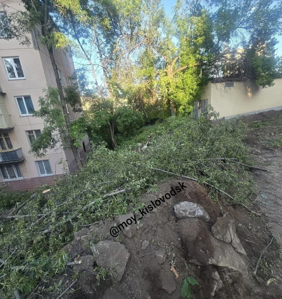 🌳 Жители обеспокоены вырубкой деревьев на ул. Советской в Кисловодске