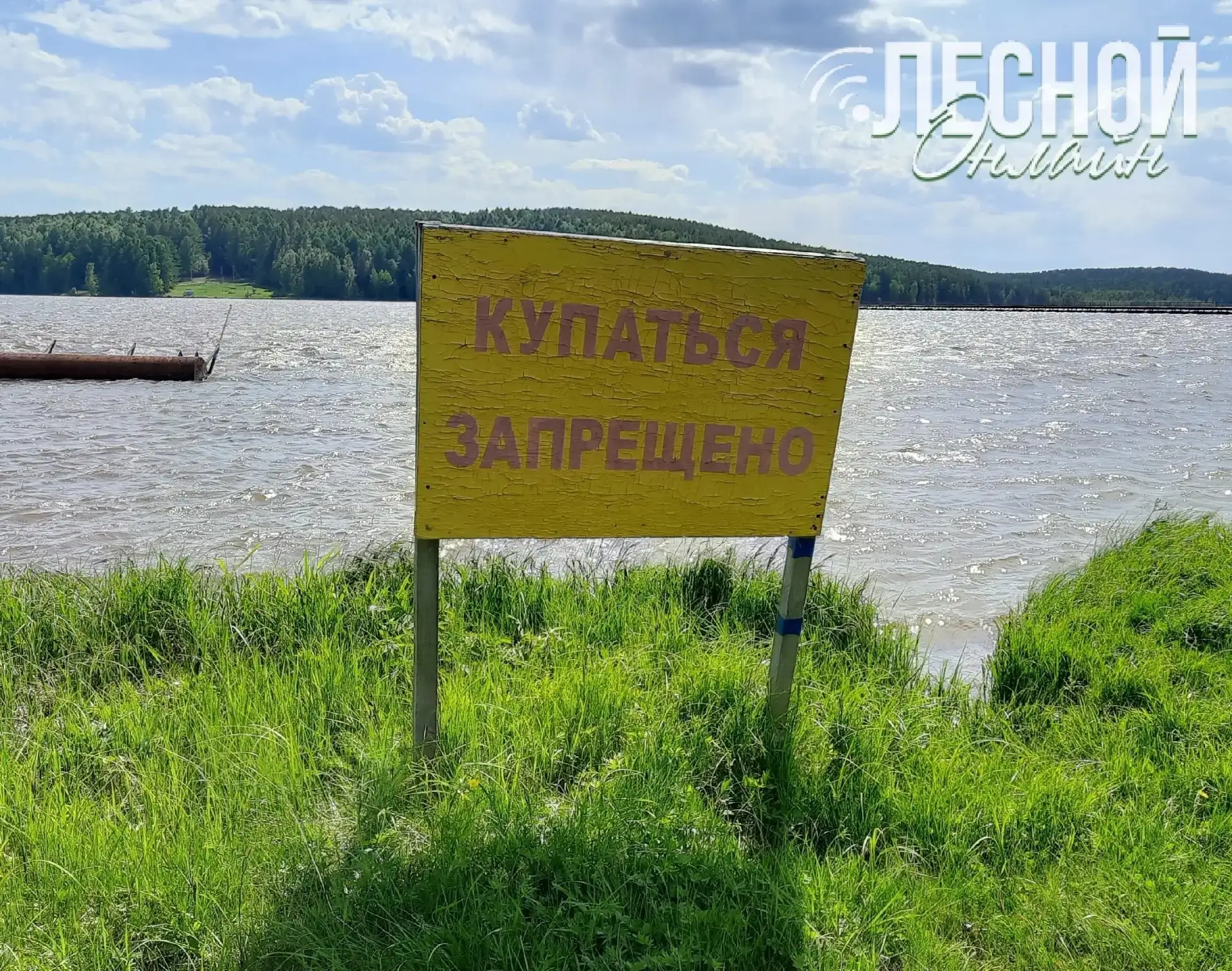 Почему купание в водоёмах на территории муниципального образования ЗАПРЕЩЕНО⁉

Отвечаем: решение на 