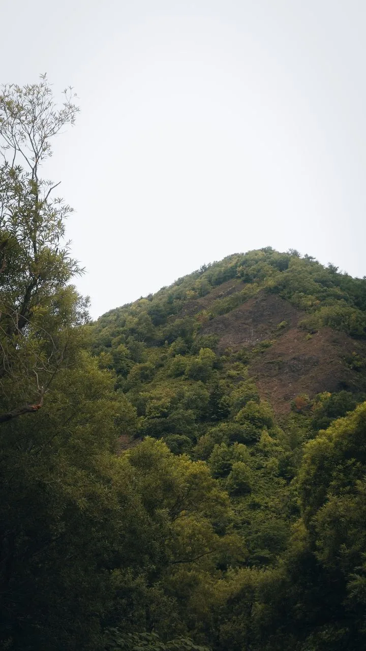 🌿Умиротворительно в Поляково