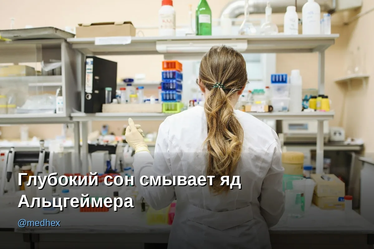 🧠 Звук во сне может защитить мозг от болезни Альцгеймера

——————————

Пока вы спите, ваш мозг либо 