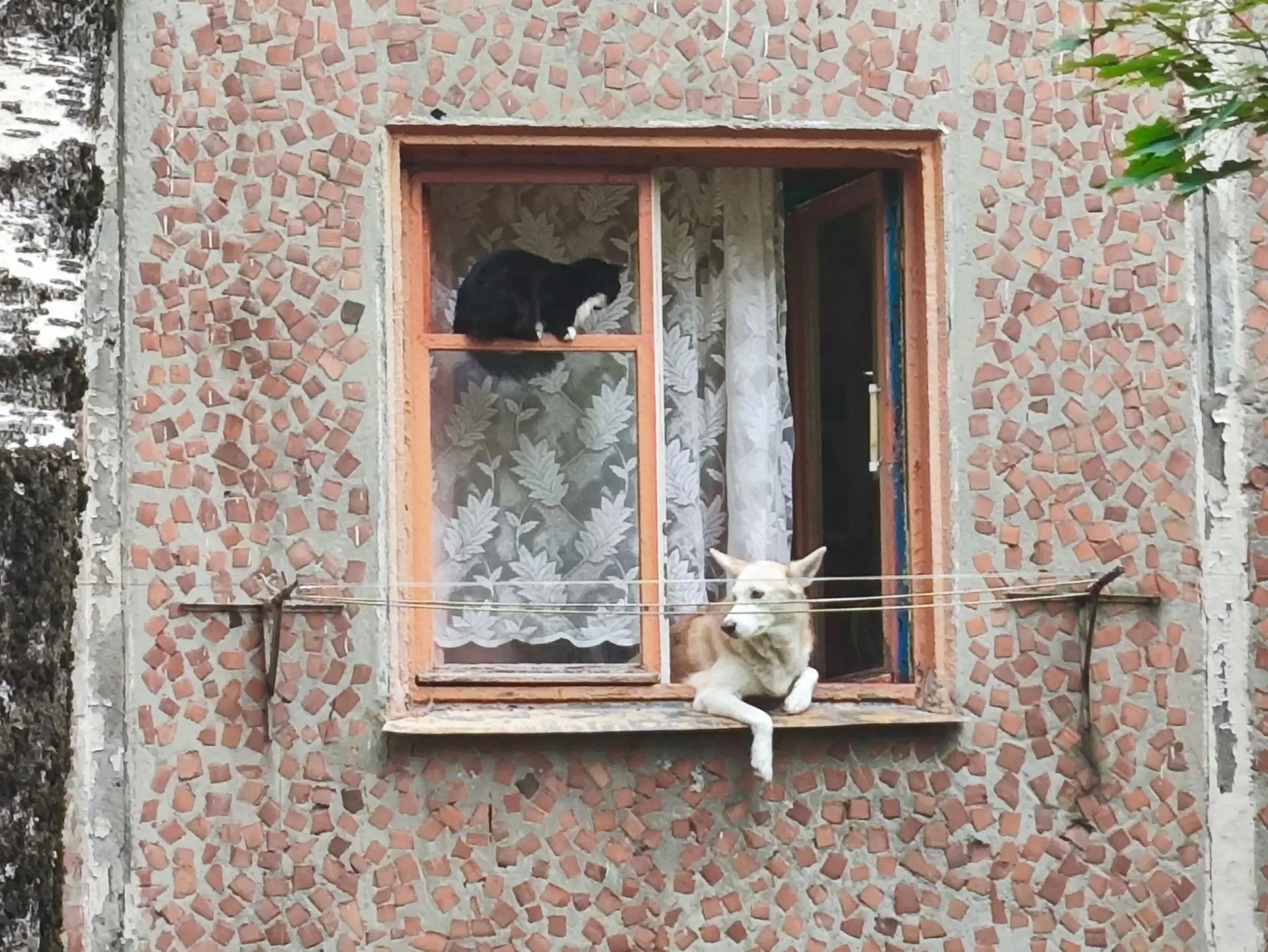 Дружба... И спокойствие.