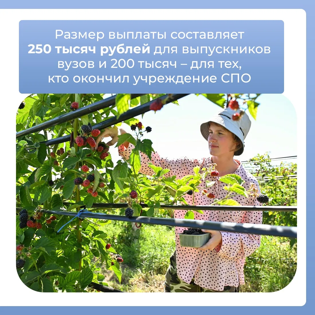 В этом году на единовременную выплату для молодых аграриев смогут претендовать выпускни...