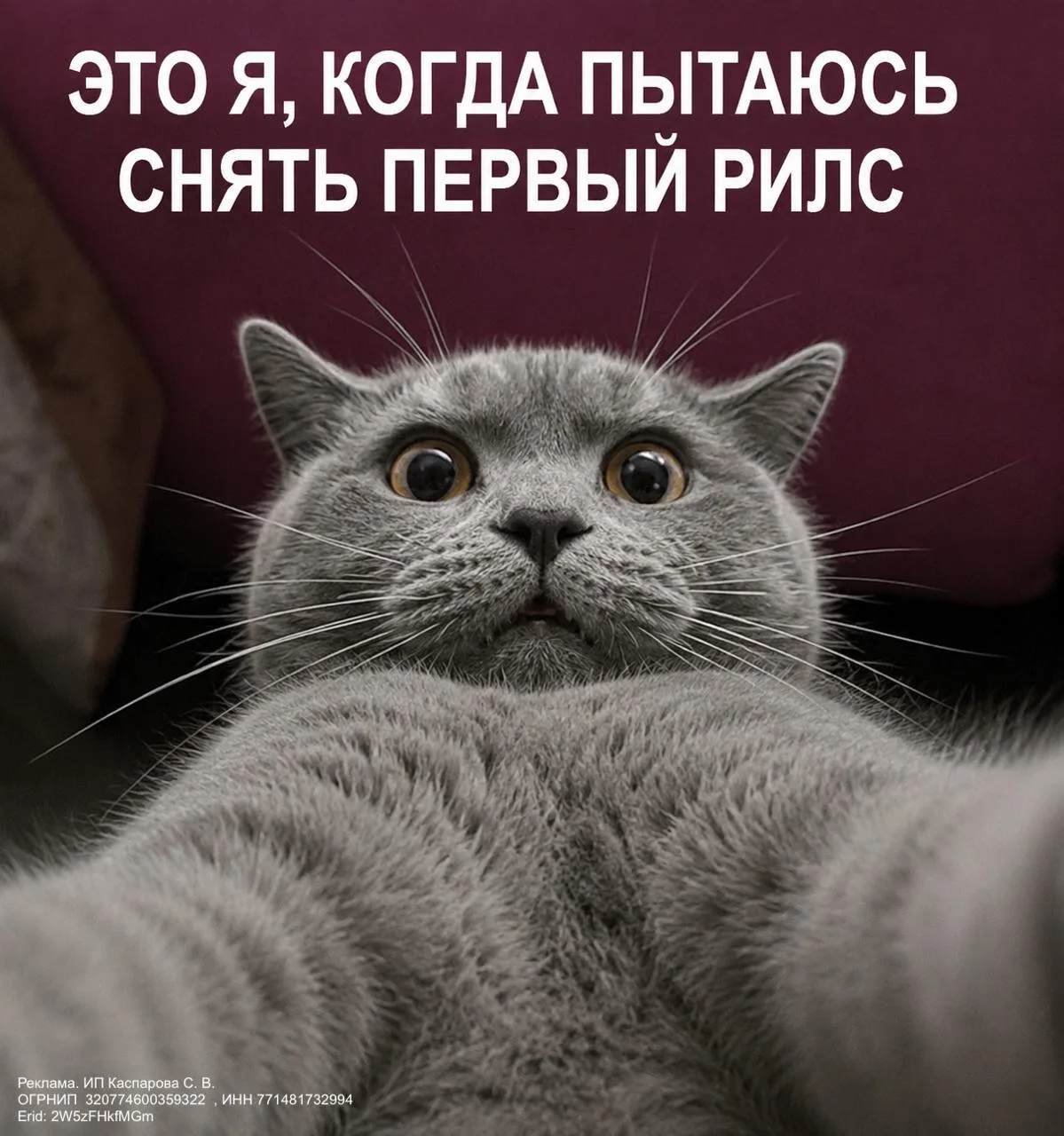 Уже месяц пытаюсь решить, начать мне снимать рилсы/ВК шортс или нет.

Что меня останавливает, спроси