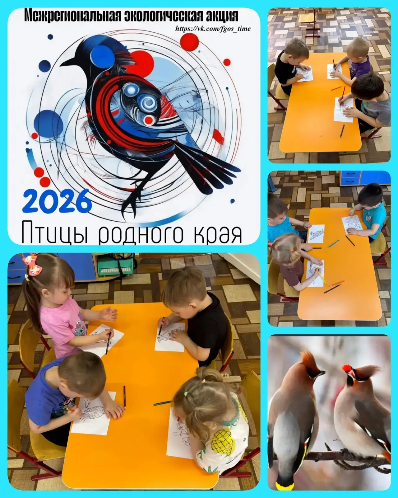«Птицы родного края»: встречаем весну вместе! 🐦1 апреля — Международный день птиц, и н...