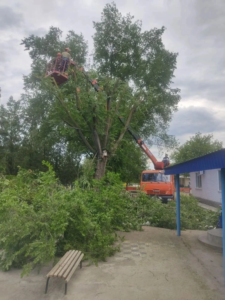 Выражаем искреннюю благодарность администрации Городовиковского районного муниципальног...