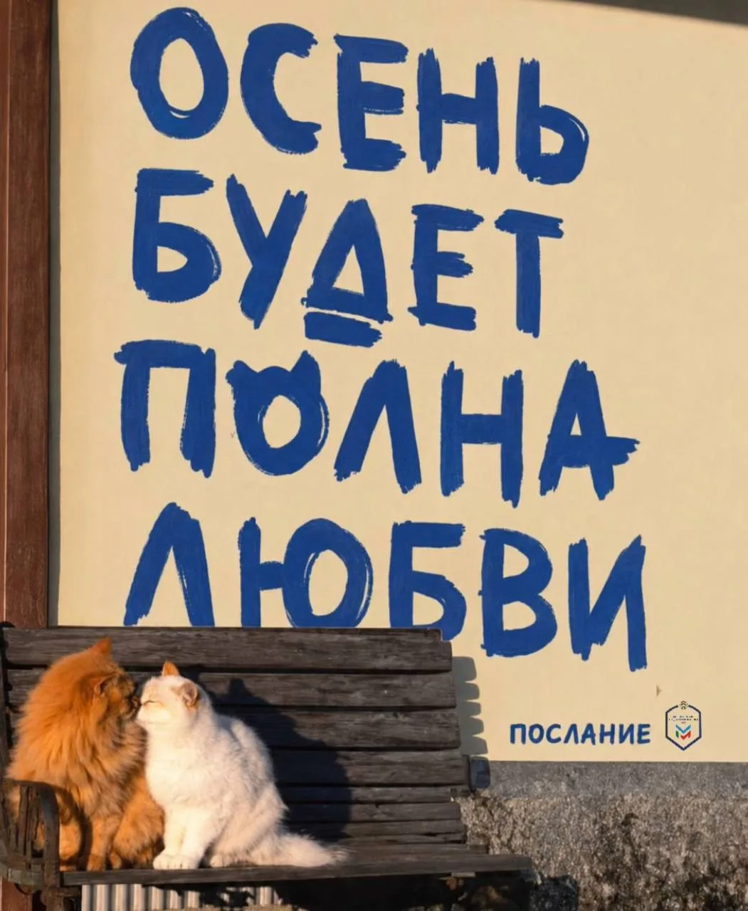 Пусть эта осень действительно будет полна любви 🤍🍁
