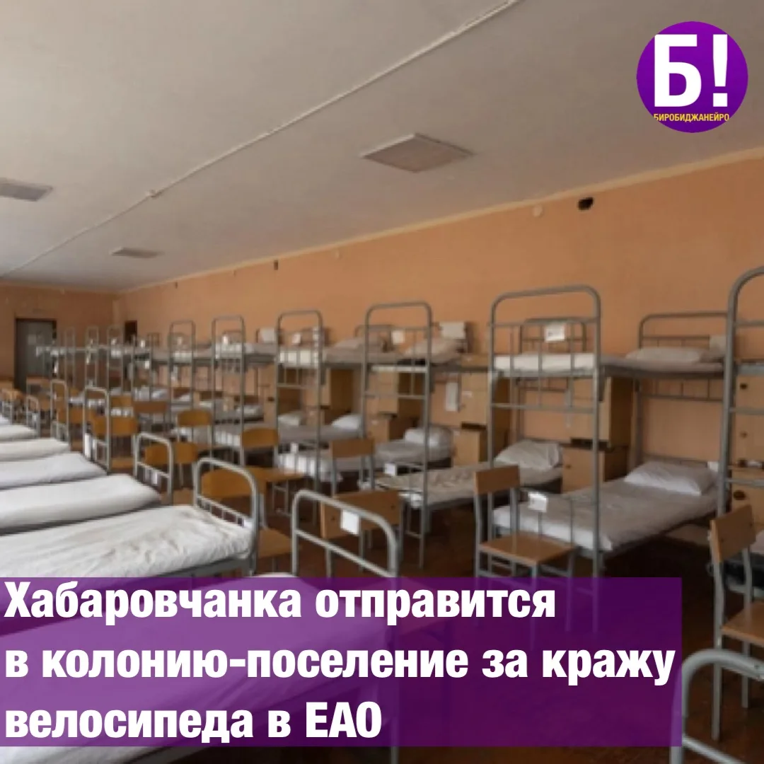 Хабаровчанка отправится в колонию-поселение за кражу велосипеда в ЕАО