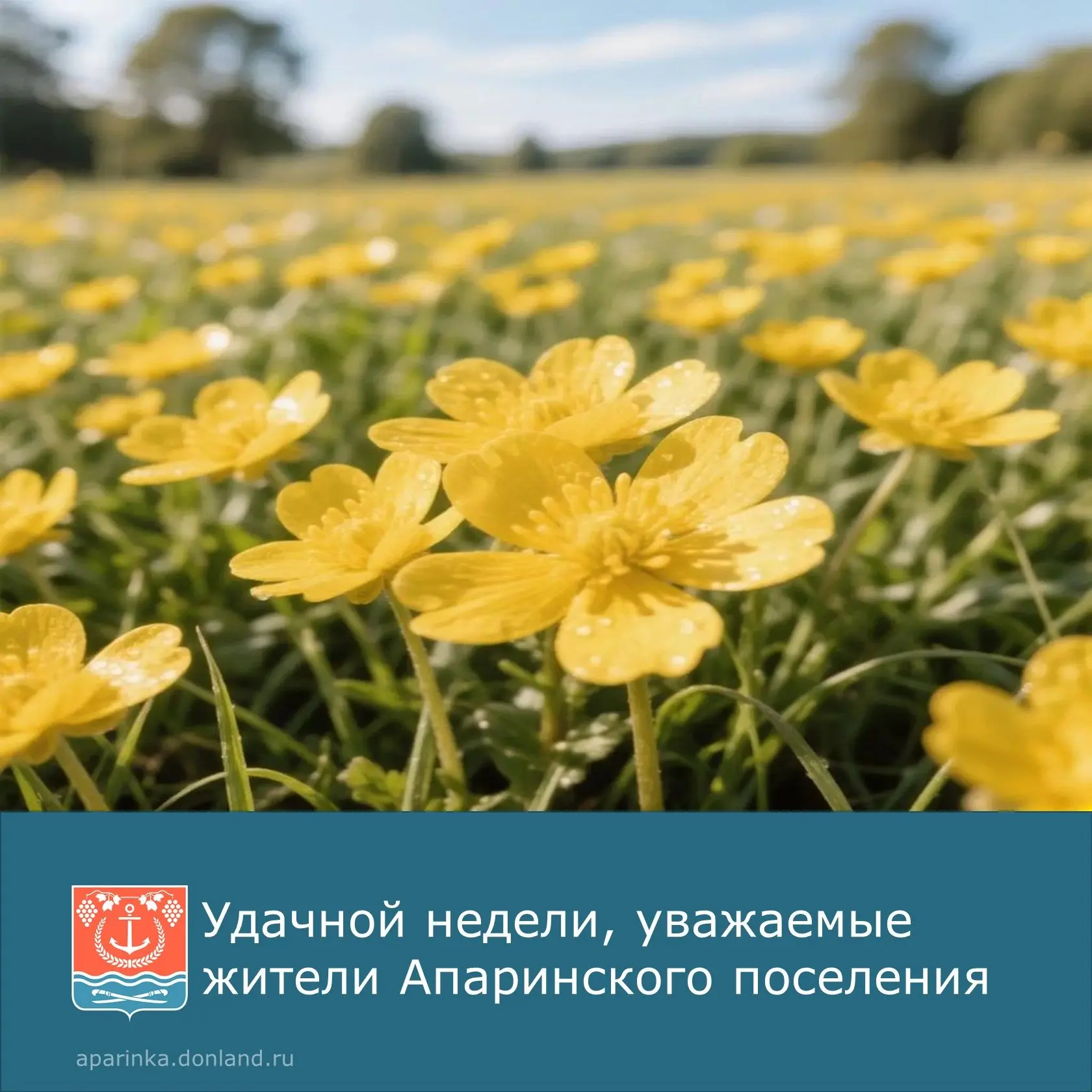 🌼Желаем, чтобы неделя была продуктивной, насыщенной и плодотворной.