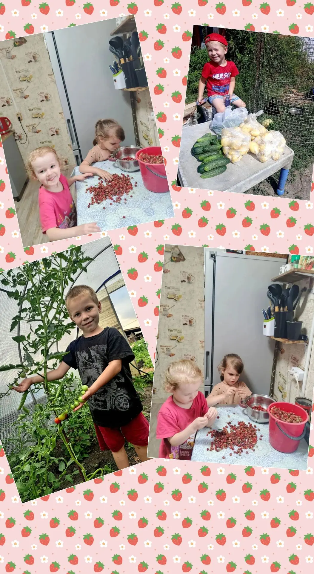 «Наши маленькие помощники собирают урожай! 🍓🍅».