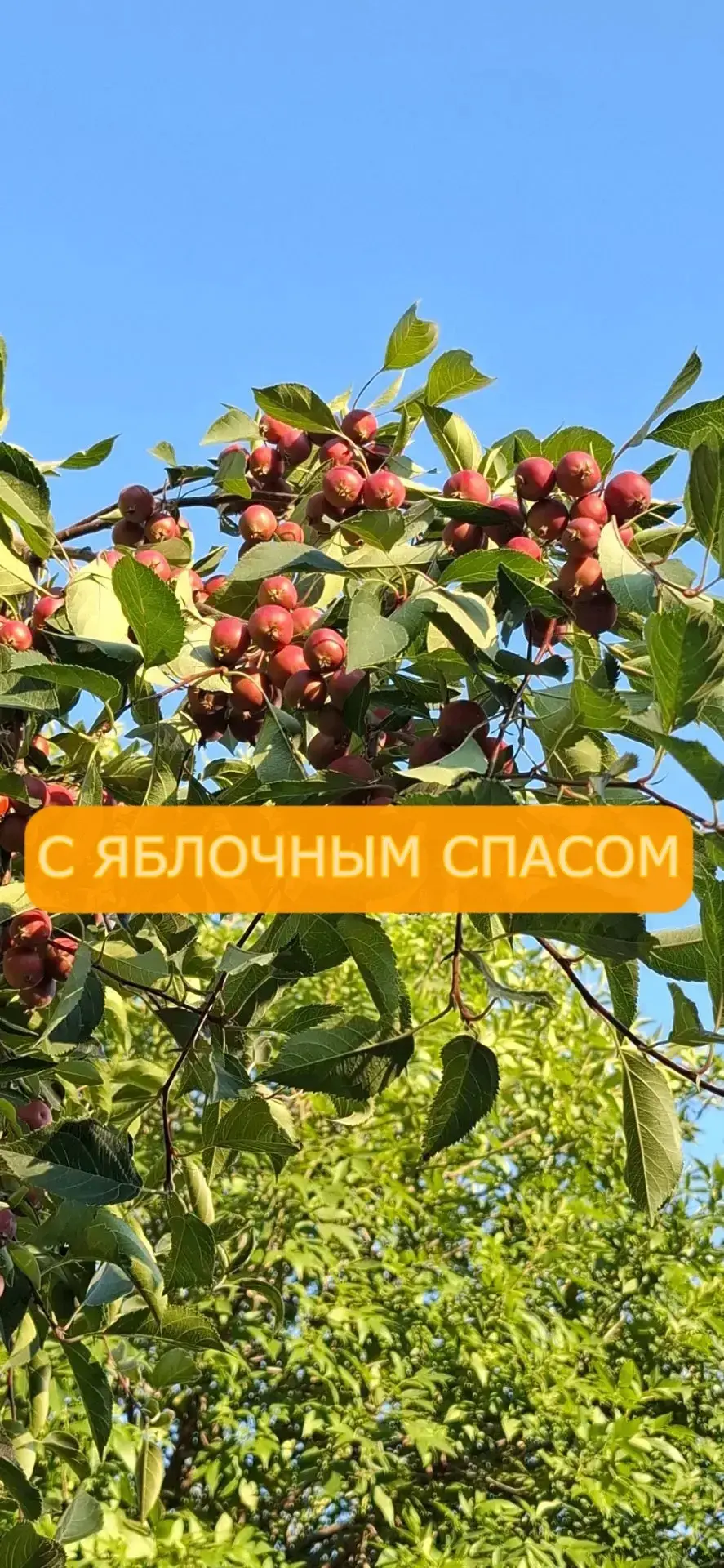 Доброе утро