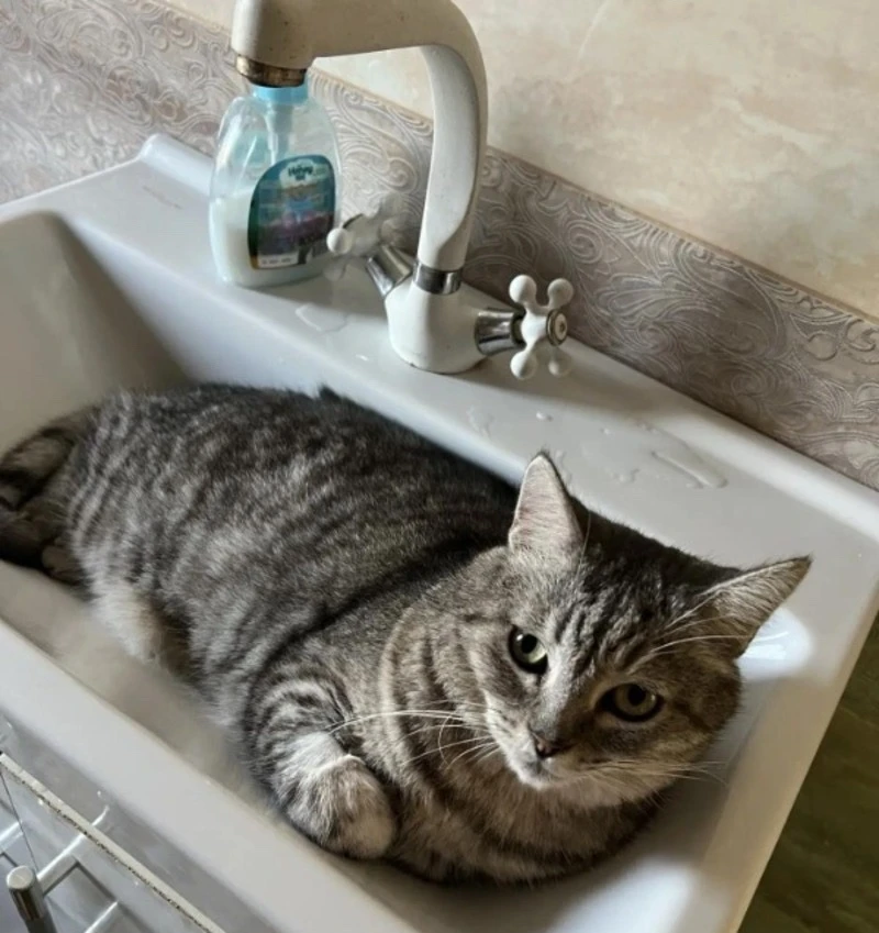 🚱 В левобережной части Астрахани отключат холодную воду