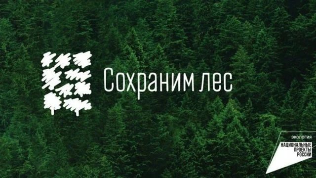 Всероссийская акция «Сохраним лес»: вместе сохраняем будущее наших лесов