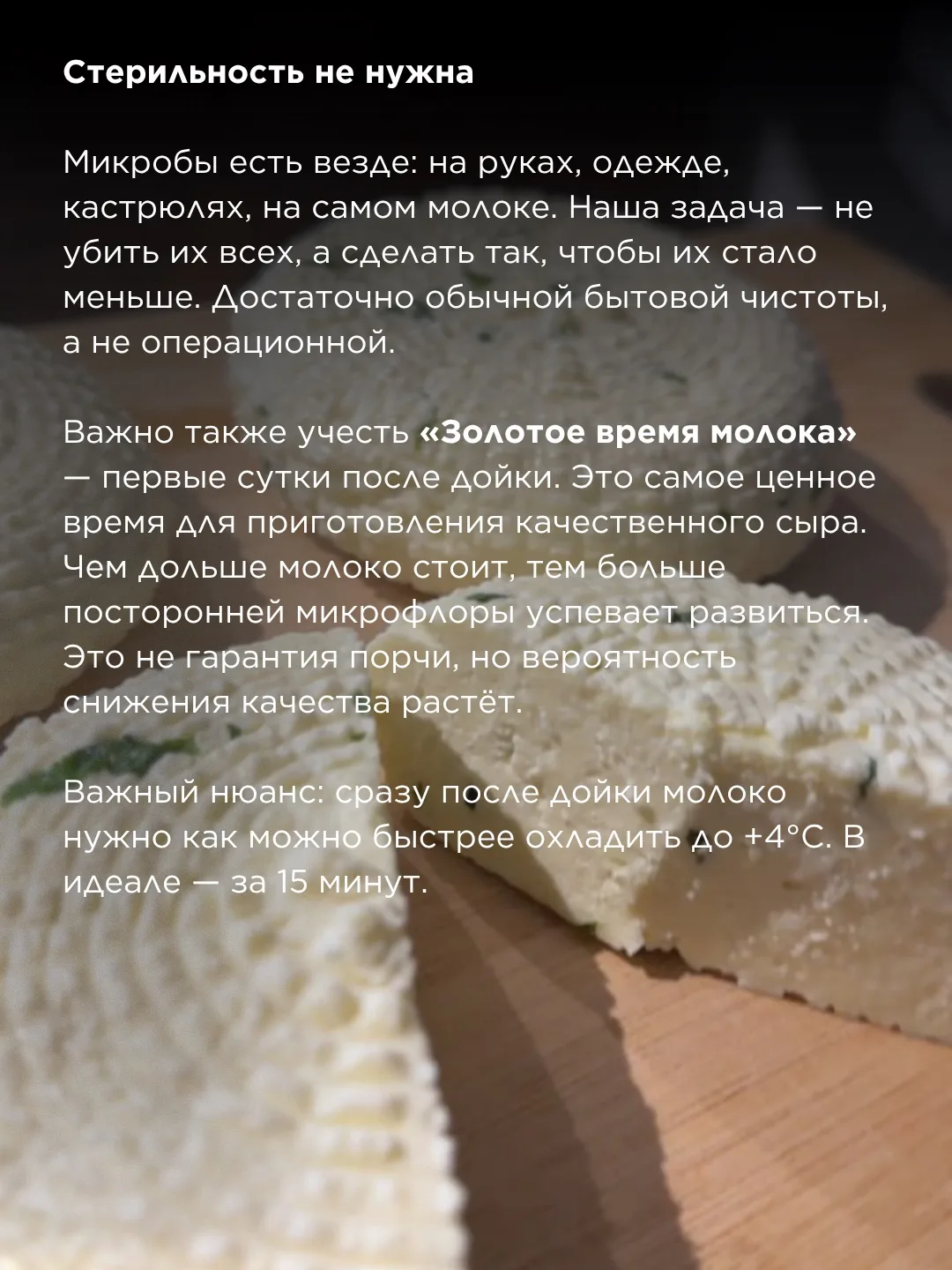 Чистота и безопасность в сыроделии  Многие новички боятся: «А вдруг заведутся бактерии? А вдруг сыр 