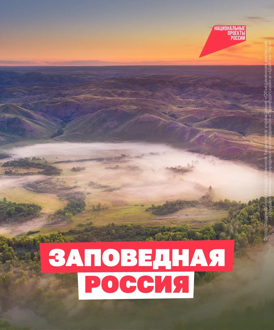 🐋 Прыжки горбатых китов, степные антилопы и бобровый аквариум