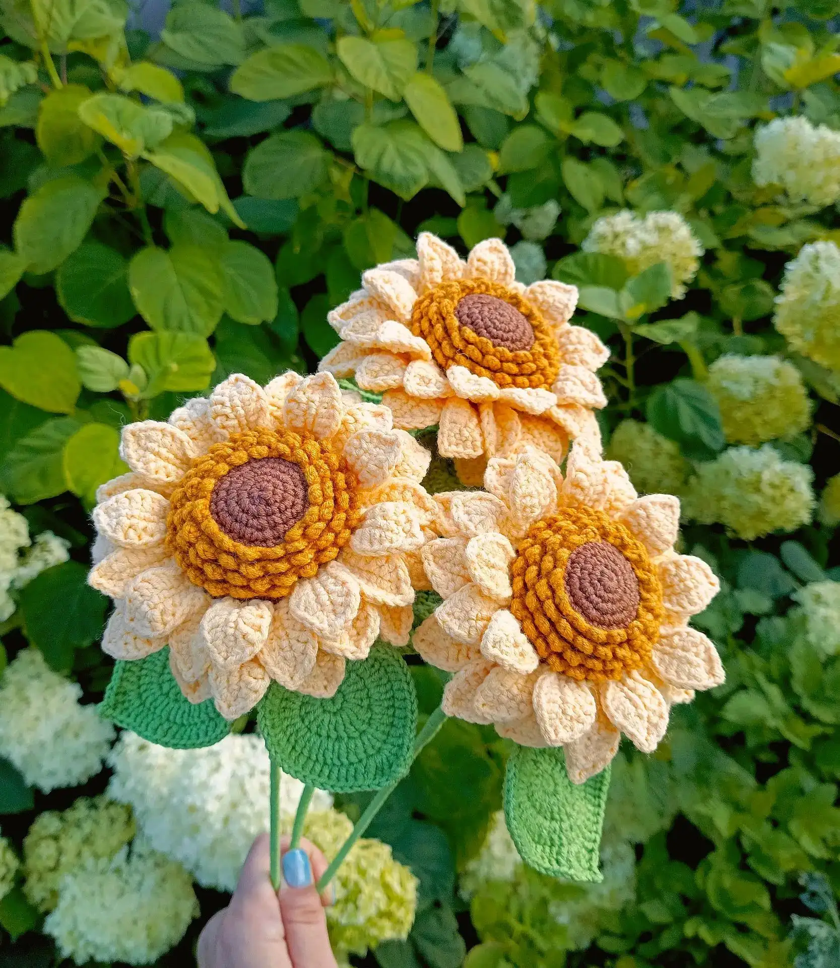 Подсолнухи 🌻🌻🌻