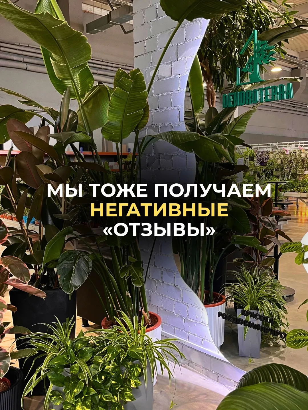 Мы долго думали, стоит ли такое публиковать… Но молчать больше нельзя.