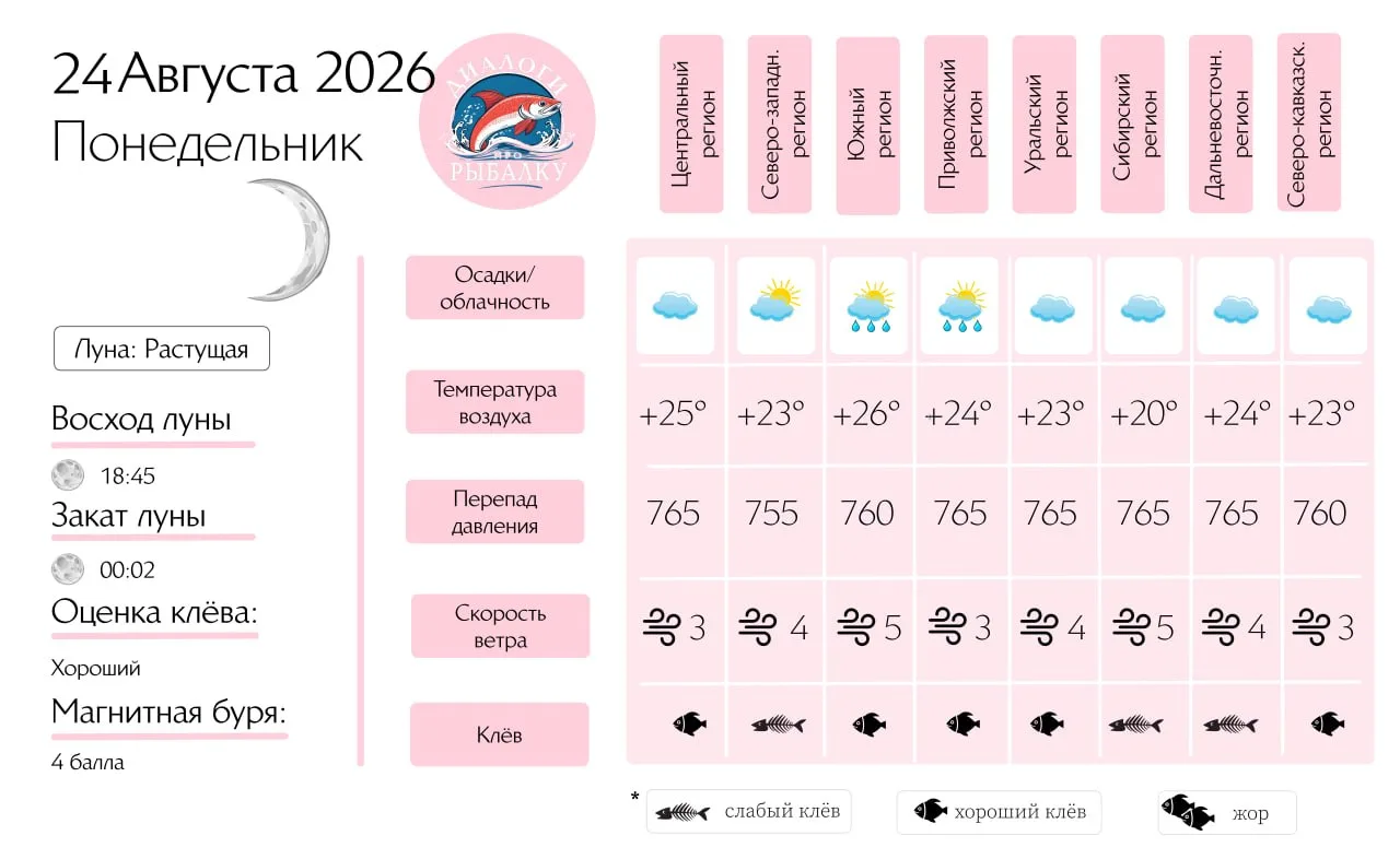 Прогноз клёва на 24 августа по фазе и состоянию луны 🎣