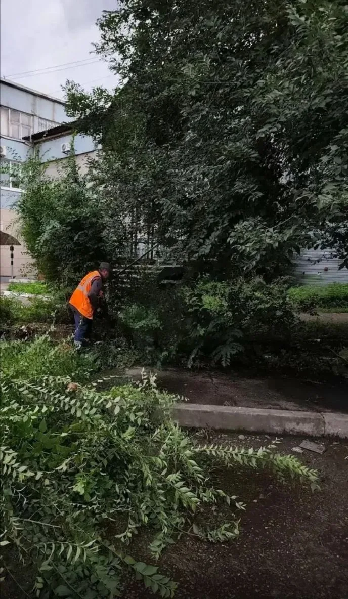 Отрабатываем заявки жителей ❗