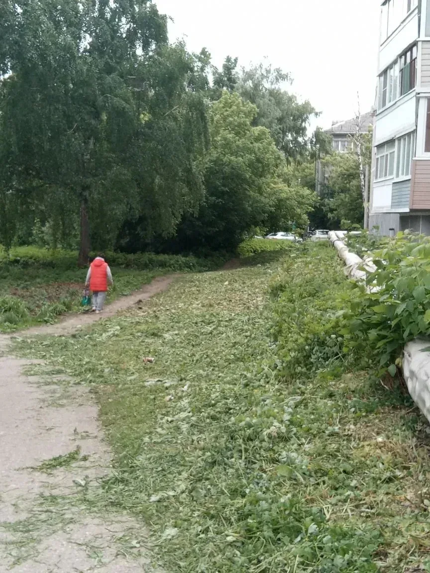 Организовали покос травы на придомовых территориях по следующим адресам: