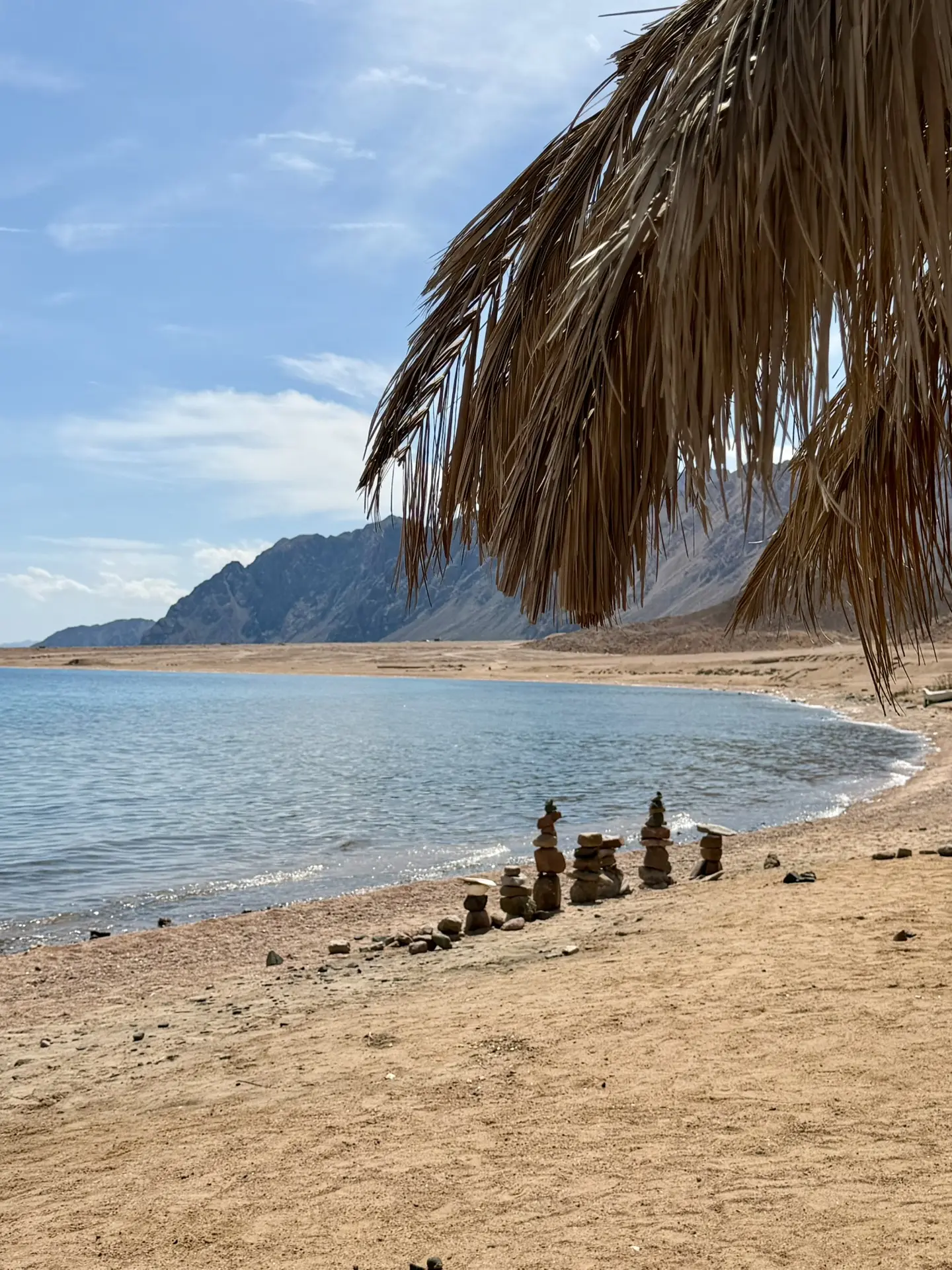 Сегодня прямо с утра с Волги в наш открытый балкон так пахнет морем! 🌊

Я не знаю, почему такой раз
